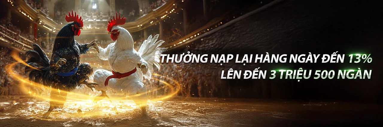 Đấu trường đá gà kịch tính tại kg88 app